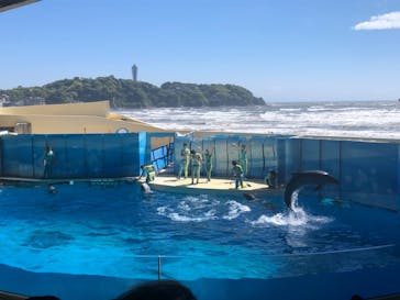 新江ノ島水族館に投稿された画像（2021/5/2）