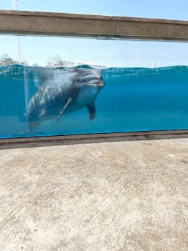 横浜・八景島シーパラダイスに投稿された画像（2021/5/2）