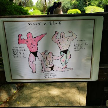 長崎バイオパークに投稿された画像（2021/5/2）