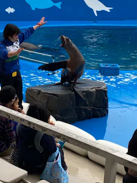仙台うみの杜水族館に投稿された画像（2021/5/2）