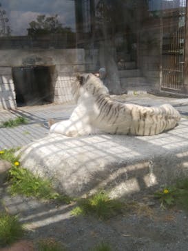 東武動物公園に投稿された画像（2021/5/2）