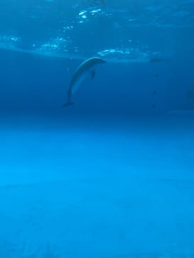 アクアワールド茨城県大洗水族館に投稿された画像（2021/5/2）