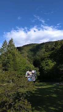 彫刻の森美術館に投稿された画像（2021/5/2）