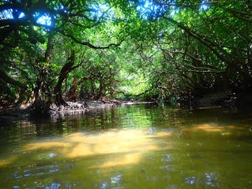 西表島 ADVENTURE PiPi（アドベンチャーピピ）に投稿された画像（2021/5/2）