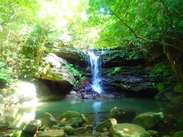 西表島 ADVENTURE PiPi（アドベンチャーピピ）に投稿された画像（2021/5/2）