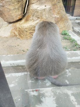 東武動物公園に投稿された画像（2021/5/2）