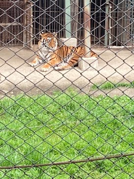 那須サファリパークに投稿された画像（2021/5/2）