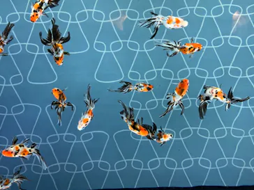 すみだ水族館に投稿された画像（2021/5/2）