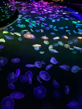 すみだ水族館に投稿された画像（2021/5/2）