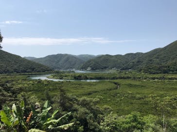 マングローブ茶屋に投稿された画像（2021/5/2）