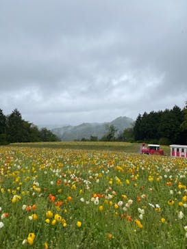 とっとり花回廊に投稿された画像（2021/5/2）