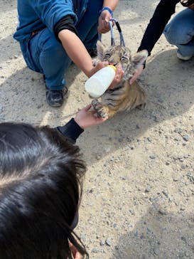 しろとり動物園に投稿された画像（2021/5/2）