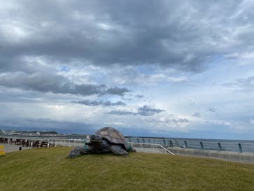 アクアワールド茨城県大洗水族館に投稿された画像（2021/5/2）