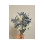 ドライフラワーと暮らしのお店 その灯ぐらし 猫洞店に投稿された画像（2021/5/2）