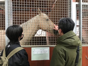 ノーザンホースパークに投稿された画像（2021/5/2）