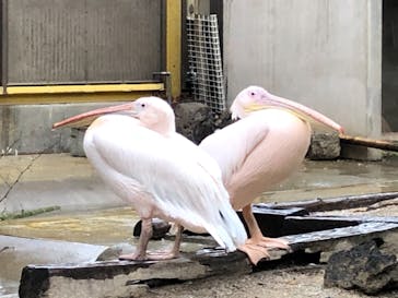 東武動物公園に投稿された画像（2021/5/2）