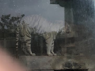 東武動物公園に投稿された画像（2021/5/2）
