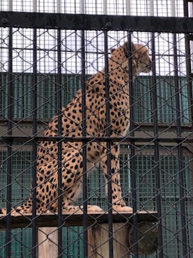 東武動物公園に投稿された画像（2021/5/2）