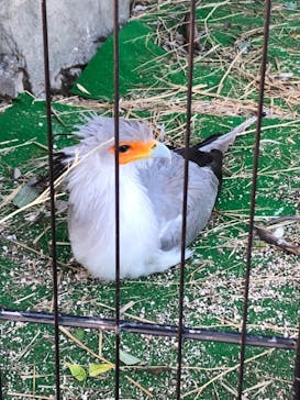 東武動物公園に投稿された画像（2021/5/2）