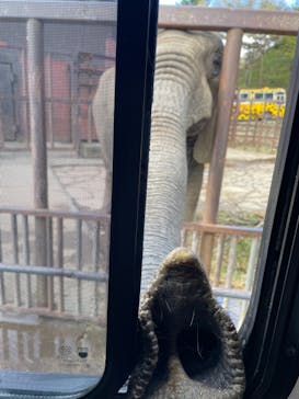 東北サファリパークに投稿された画像（2021/5/2）