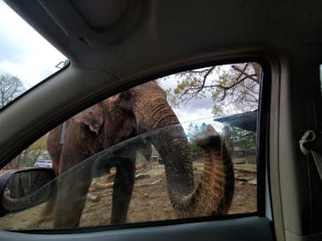 那須サファリパークに投稿された画像（2021/5/2）