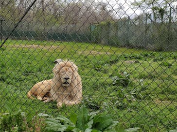 那須サファリパークに投稿された画像（2021/5/2）