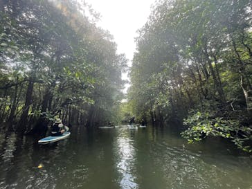 西表島 ADVENTURE PiPi（アドベンチャーピピ）に投稿された画像（2021/5/2）