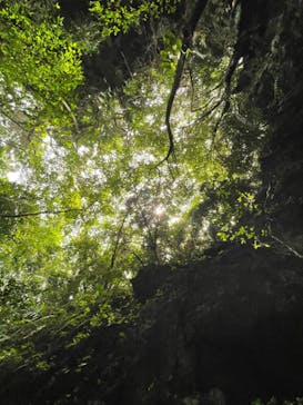 西表島 ADVENTURE PiPi（アドベンチャーピピ）に投稿された画像（2021/5/2）