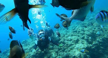 DIVING-SHOP SUNSに投稿された画像（2021/5/2）