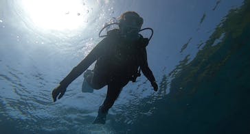 DIVING-SHOP SUNSに投稿された画像（2021/5/2）