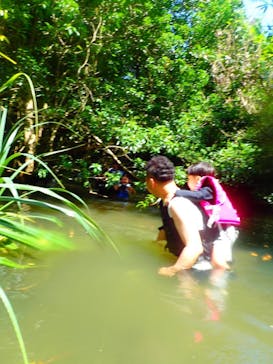 西表島 ADVENTURE PiPi（アドベンチャーピピ）に投稿された画像（2021/5/2）