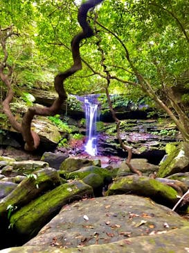 西表島 ADVENTURE PiPi（アドベンチャーピピ）に投稿された画像（2021/5/2）