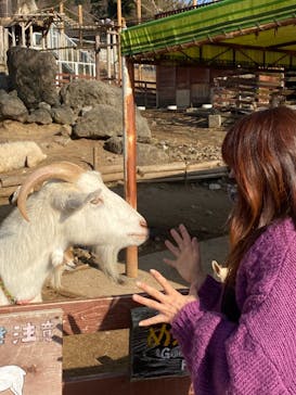 秋吉台自然動物公園 サファリランドに投稿された画像（2021/5/2）