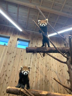 伊豆シャボテン動物公園に投稿された画像（2021/5/2）