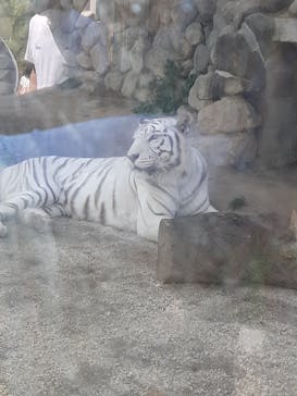 東武動物公園に投稿された画像（2021/5/2）