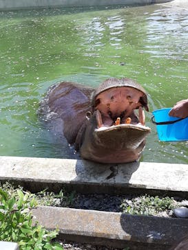 東武動物公園に投稿された画像（2021/5/2）