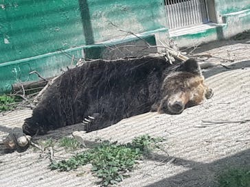 東武動物公園に投稿された画像（2021/5/2）