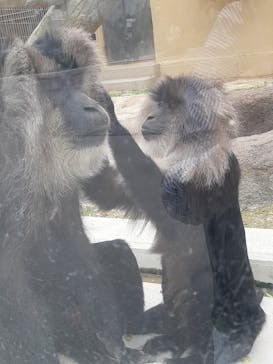 東武動物公園に投稿された画像（2021/5/2）