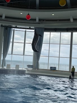 アクアワールド茨城県大洗水族館に投稿された画像（2021/5/2）