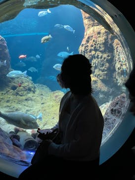 新江ノ島水族館に投稿された画像（2021/5/2）