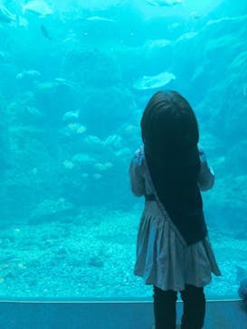 新江ノ島水族館に投稿された画像（2021/5/2）