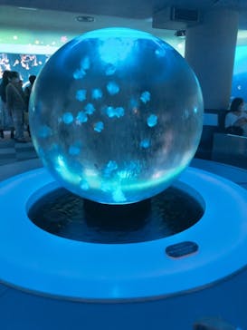 新江ノ島水族館に投稿された画像（2021/5/2）