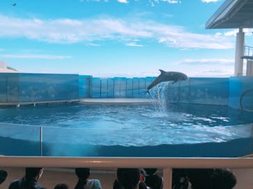 新江ノ島水族館に投稿された画像（2021/5/2）