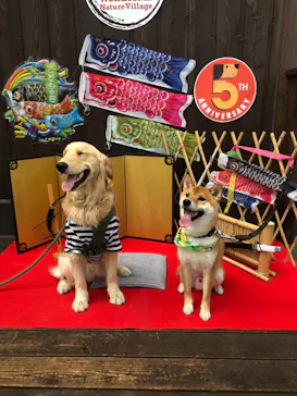 わんダフルネイチャーヴィレッジに投稿された画像（2021/5/2）