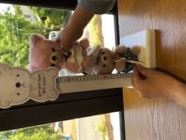 伊豆テディベア・ミュージアムに投稿された画像（2021/5/2）