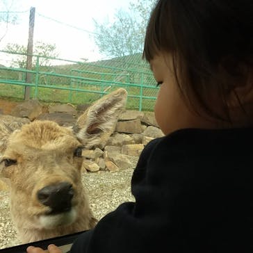 東北サファリパークに投稿された画像（2021/5/3）