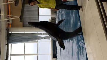 アクアワールド茨城県大洗水族館に投稿された画像（2021/5/3）