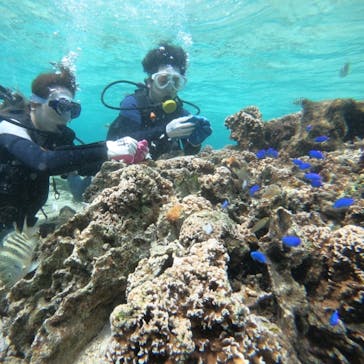 武藤潜水に投稿された画像（2021/5/3）