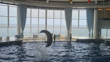 アクアワールド茨城県大洗水族館に投稿された画像（2021/5/3）