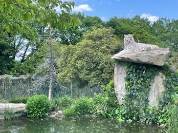 群馬サファリパークに投稿された画像（2021/5/3）